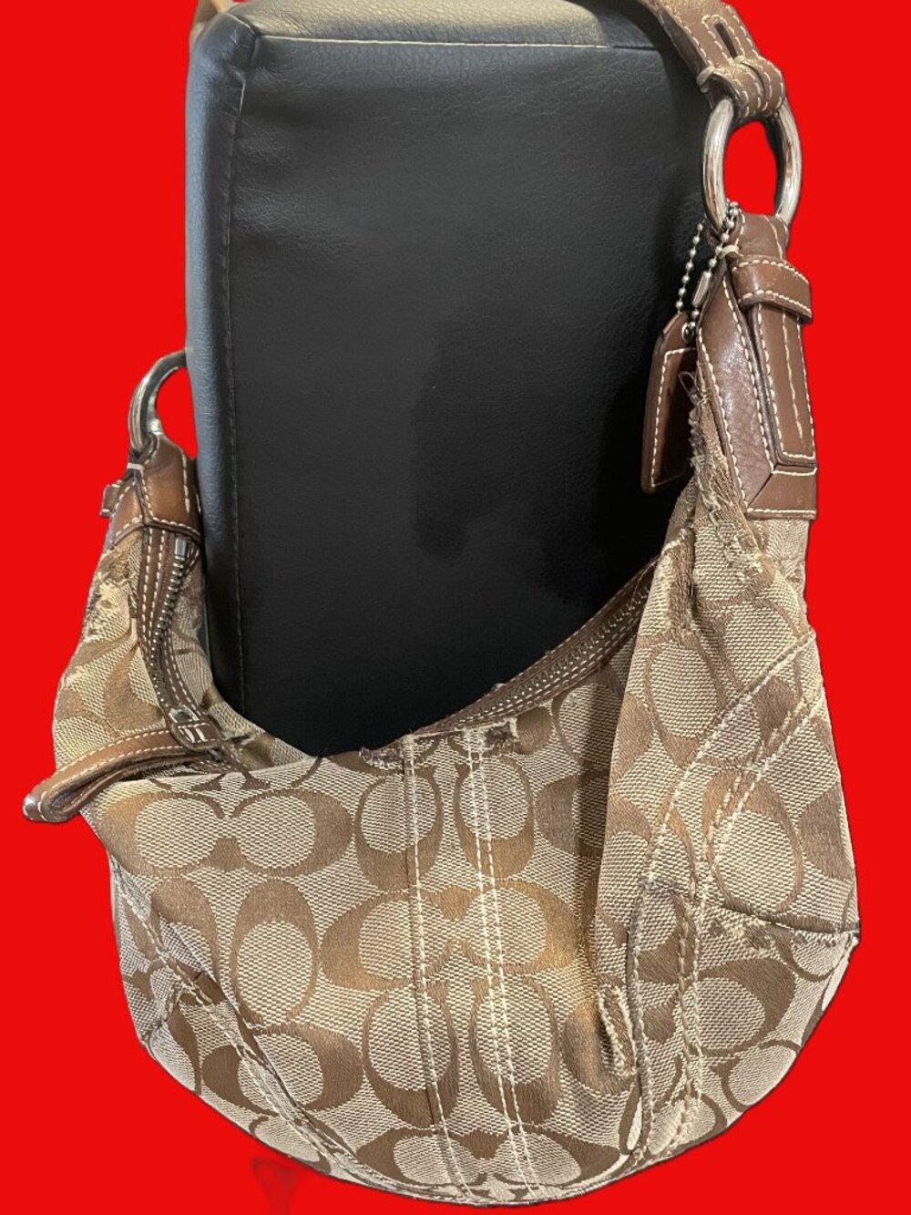 Signature "C" Canvas with Leather Trim
